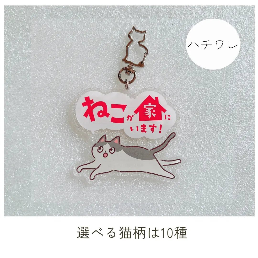 家ねこキーホルダー【全10種】｜連絡先が書けるSOSキーホルダー｜迷子・緊急時に愛猫を守るお守り
