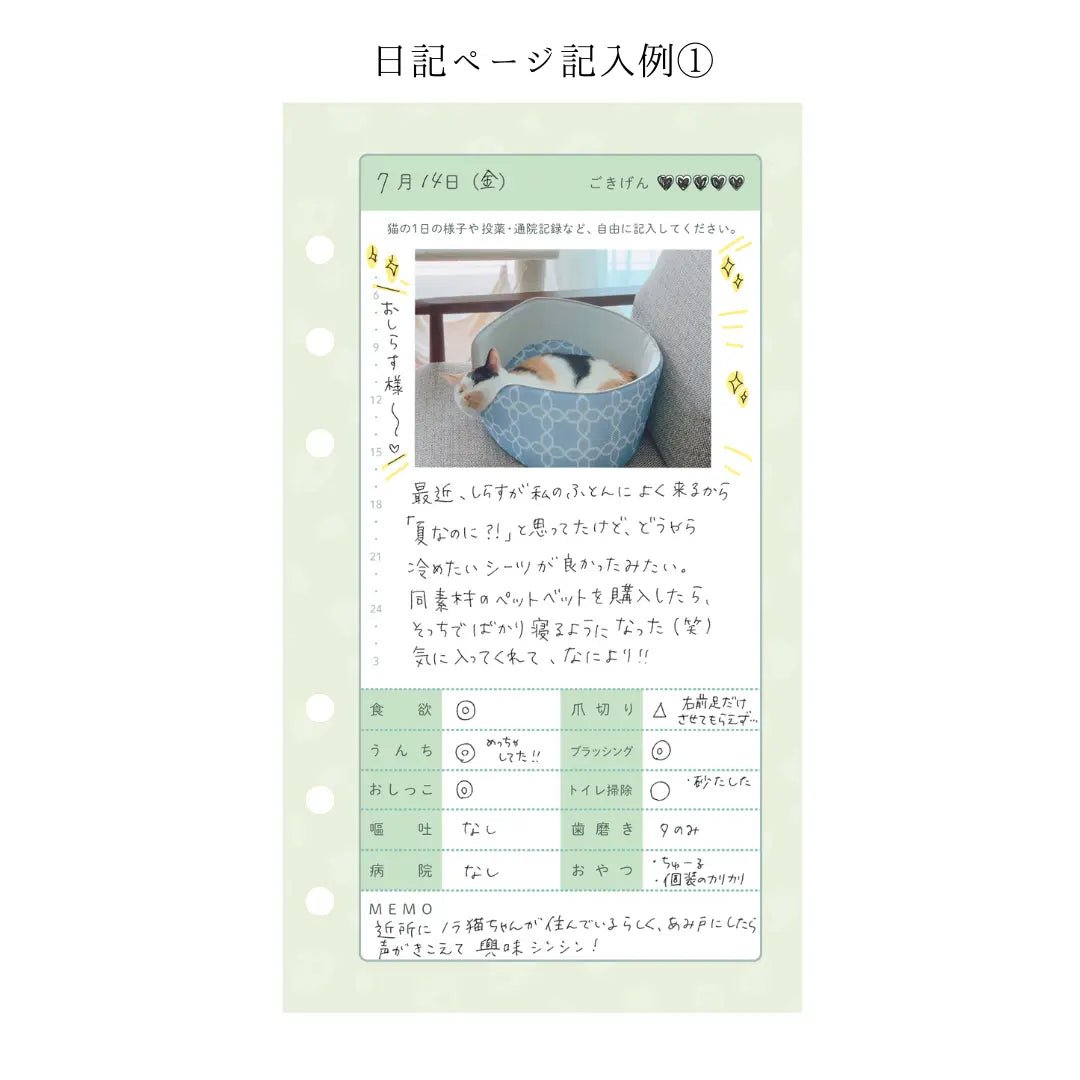 ヘルプ手帳リフィルの商品画像（2）
