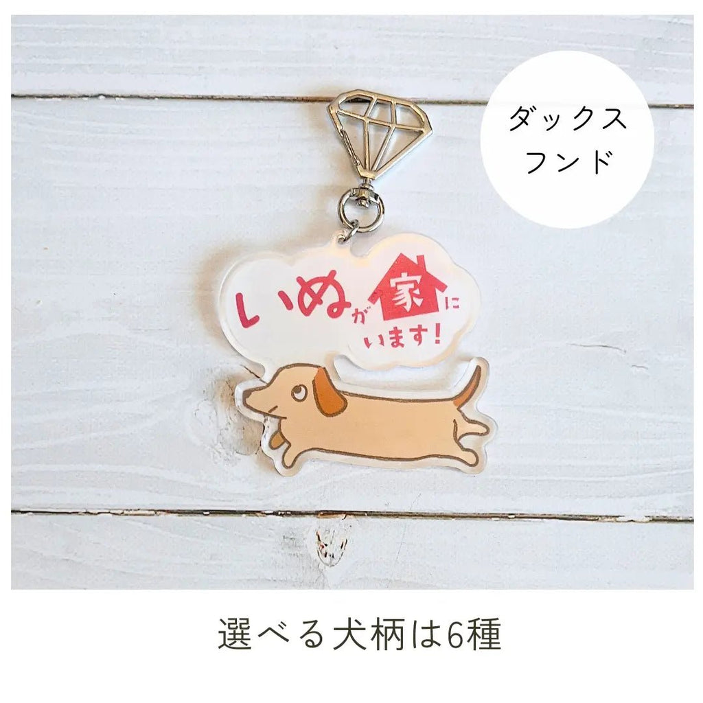 家いぬキーホルダー【全6種】｜連絡先が書けるSOSキーホルダー｜迷子・緊急時に愛犬を守るお守り