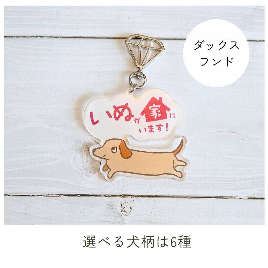 家いぬキーホルダー【全6種】｜連絡先が書けるSOSキーホルダー｜迷子・緊急時に愛犬を守るお守り