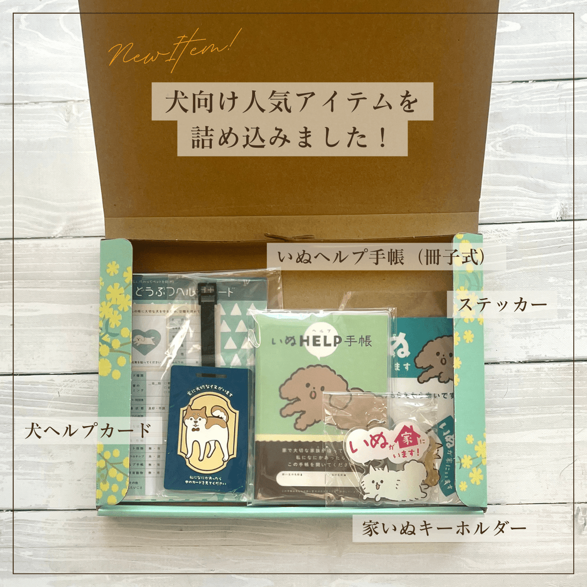 いぬとの暮らし安心BOX【4点ギフトセット】｜手帳＋カード＋キーホルダー＋ステッカー｜犬のペット防災