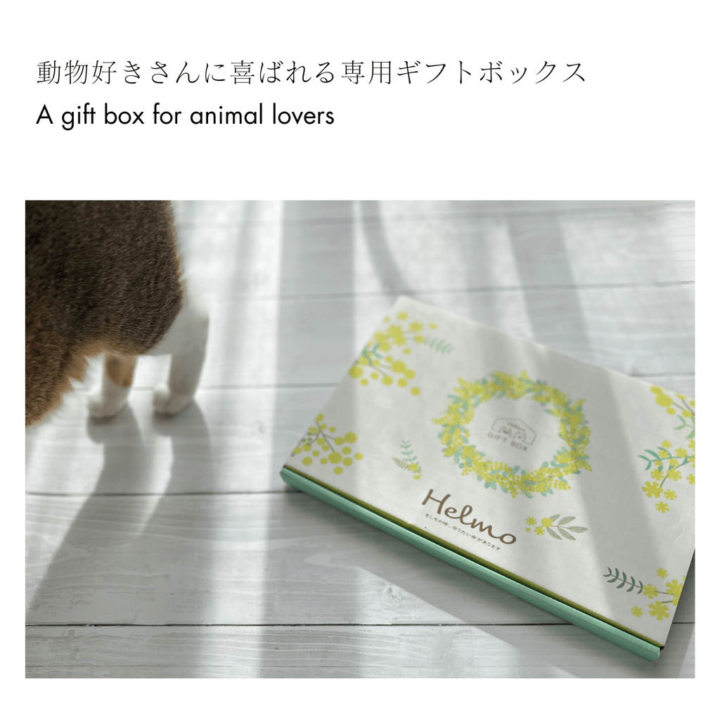 ねことの暮らし安心BOX【4点ギフトセット】｜手帳＋カード＋キーホルダー＋ステッカー｜猫のペット防災